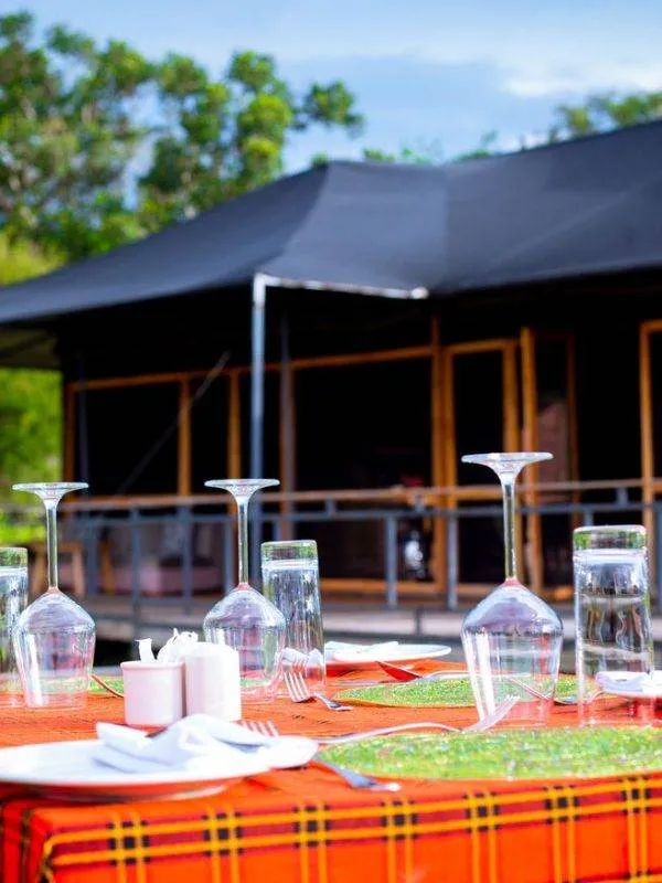 Serenity Camp & Lodges - Tanzania luxury safari accommodation gallery 4