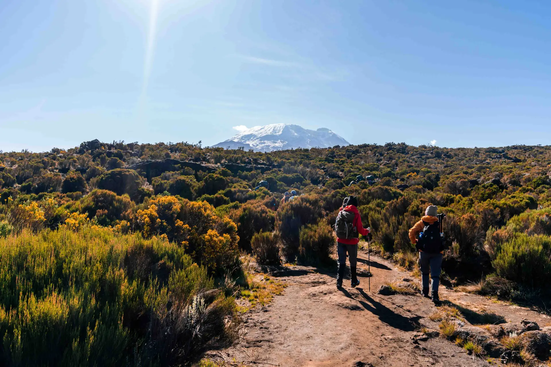 Kilimanjaro: Northern Circuit