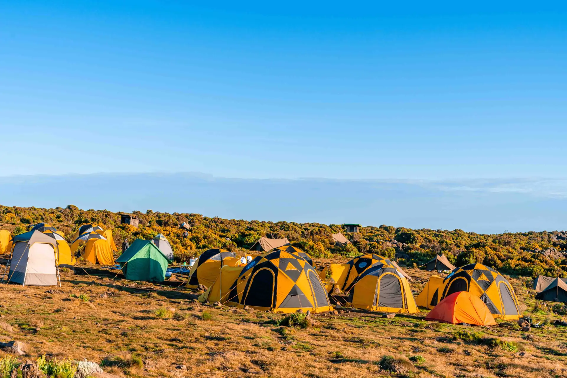 Kilimanjaro: Northern Circuit