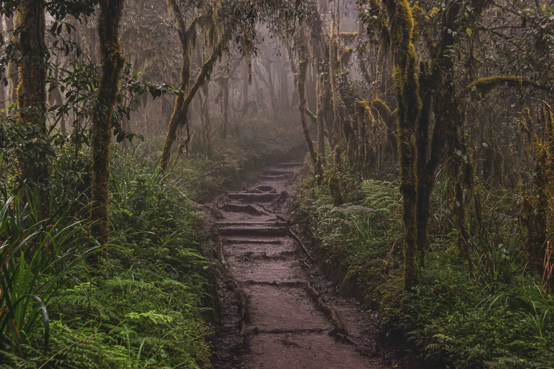 Mount Meru Climb