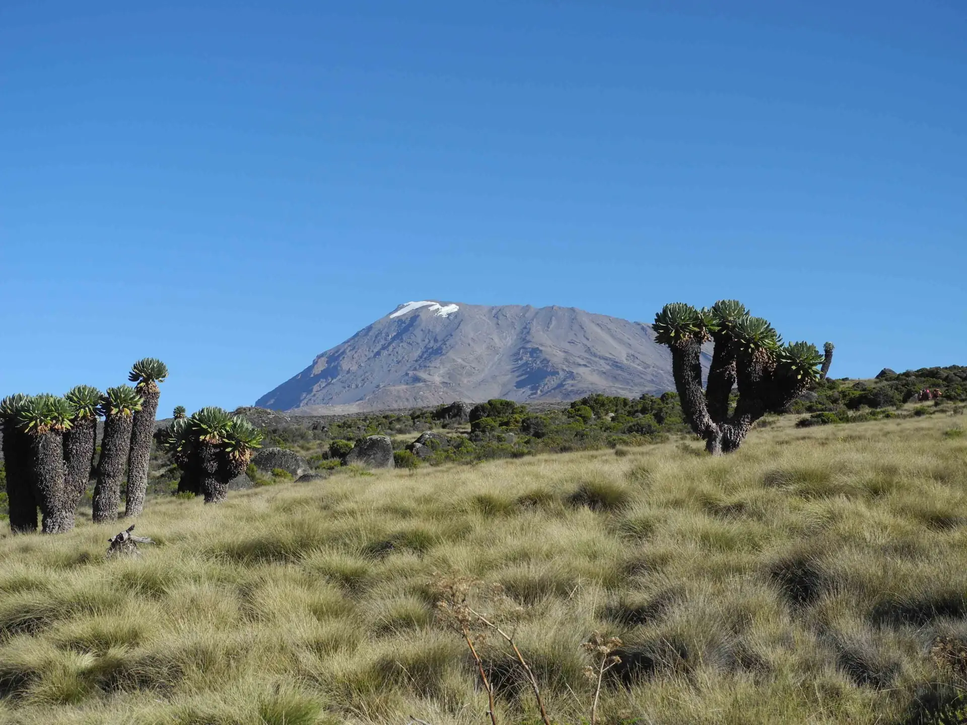 Kilimanjaro: Machame Route