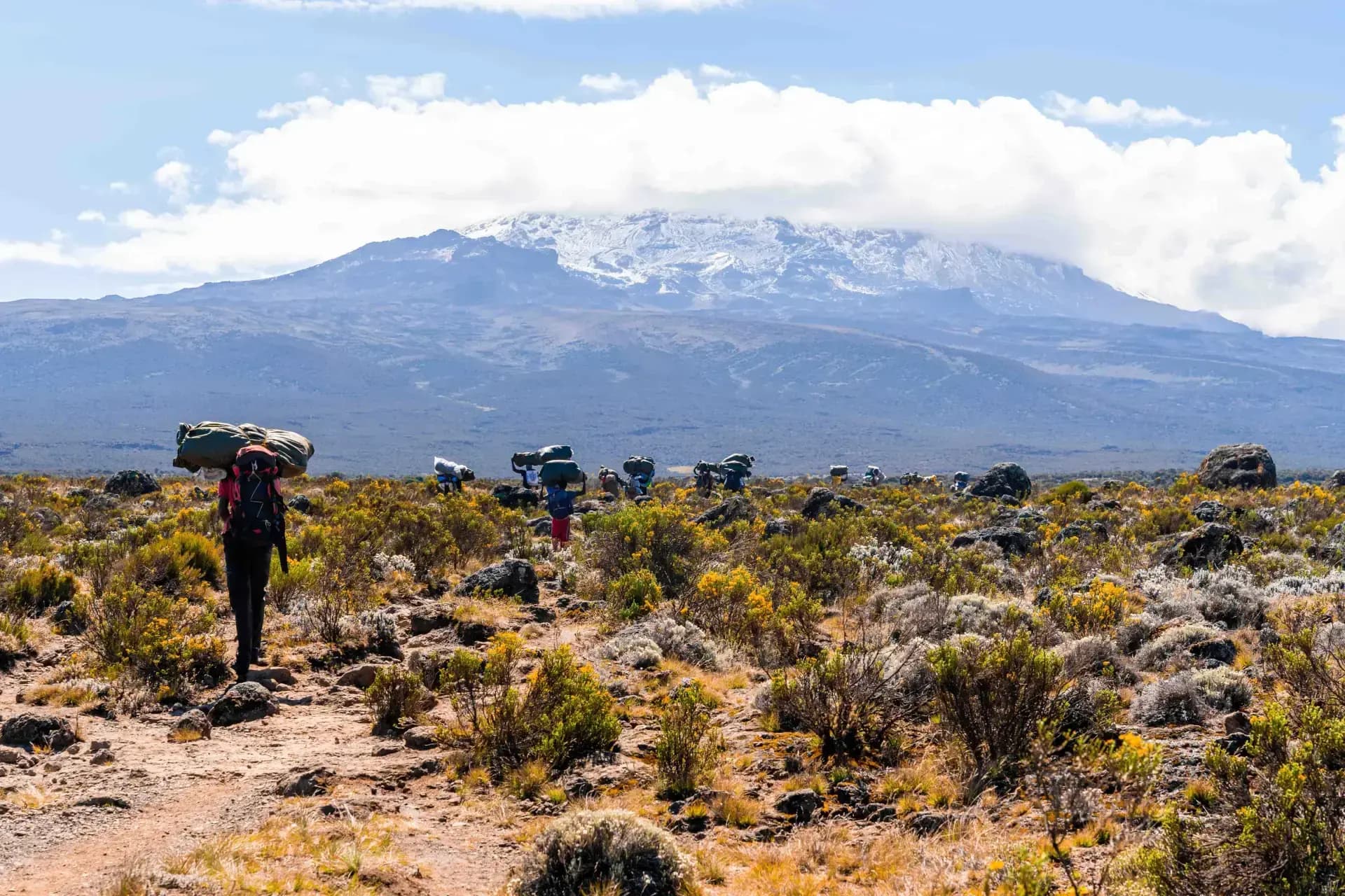 Kili Camp