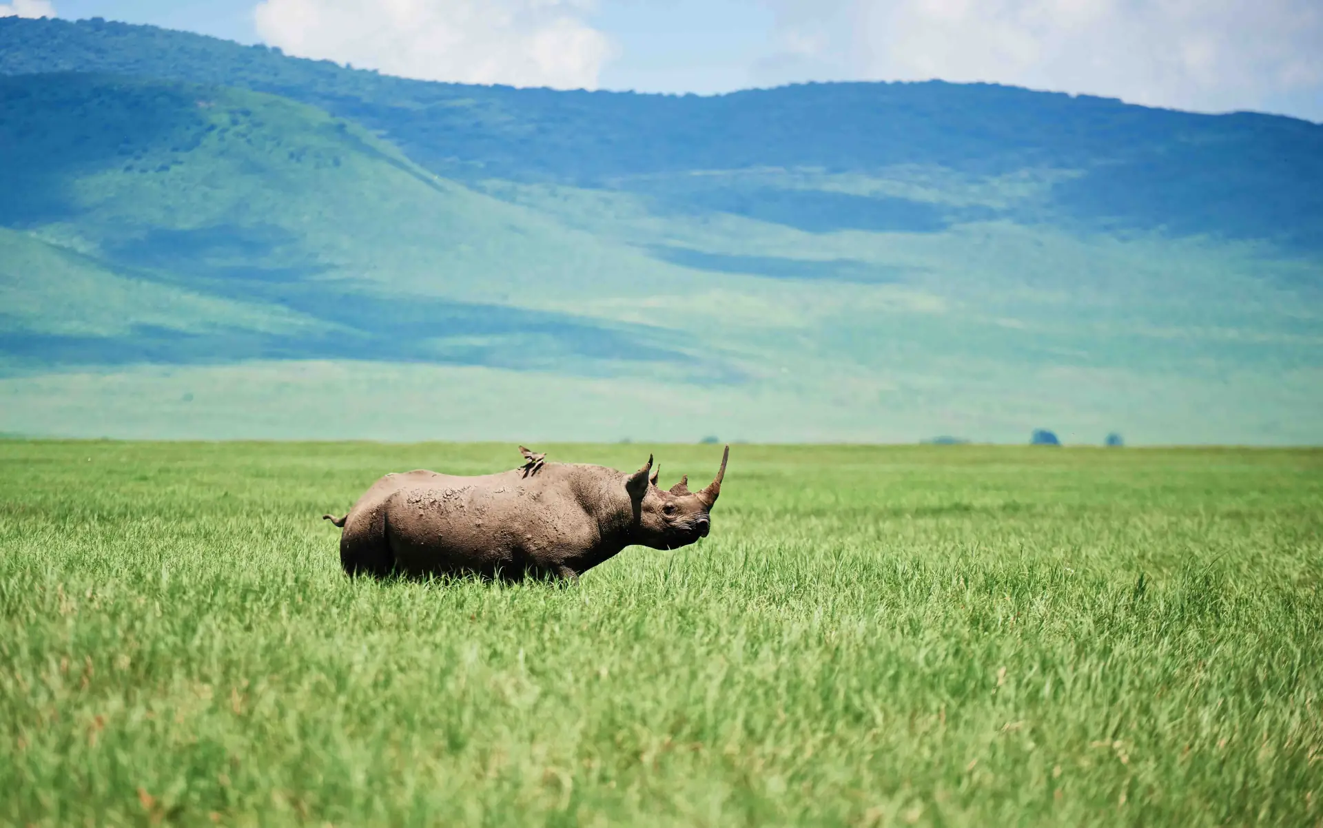Tarangire & Ngorongoro Express