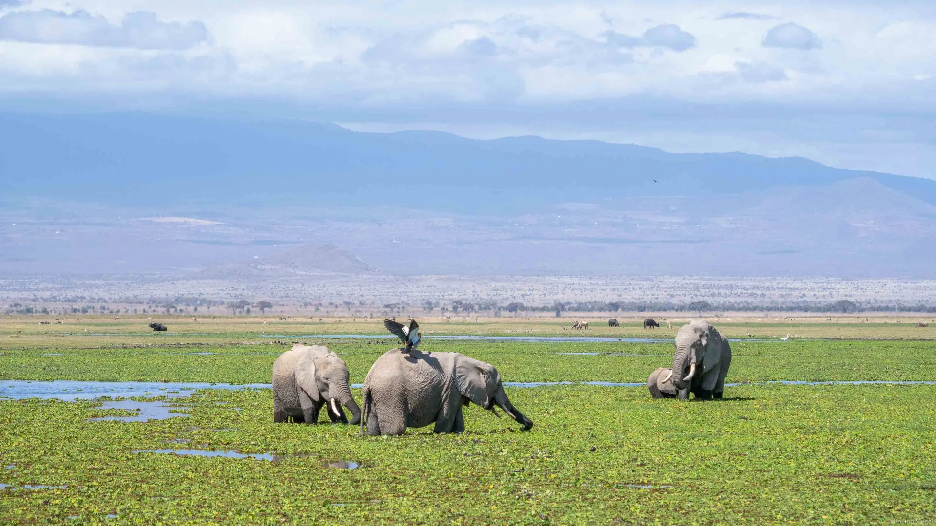 Olduvai Gorge & Human Origins