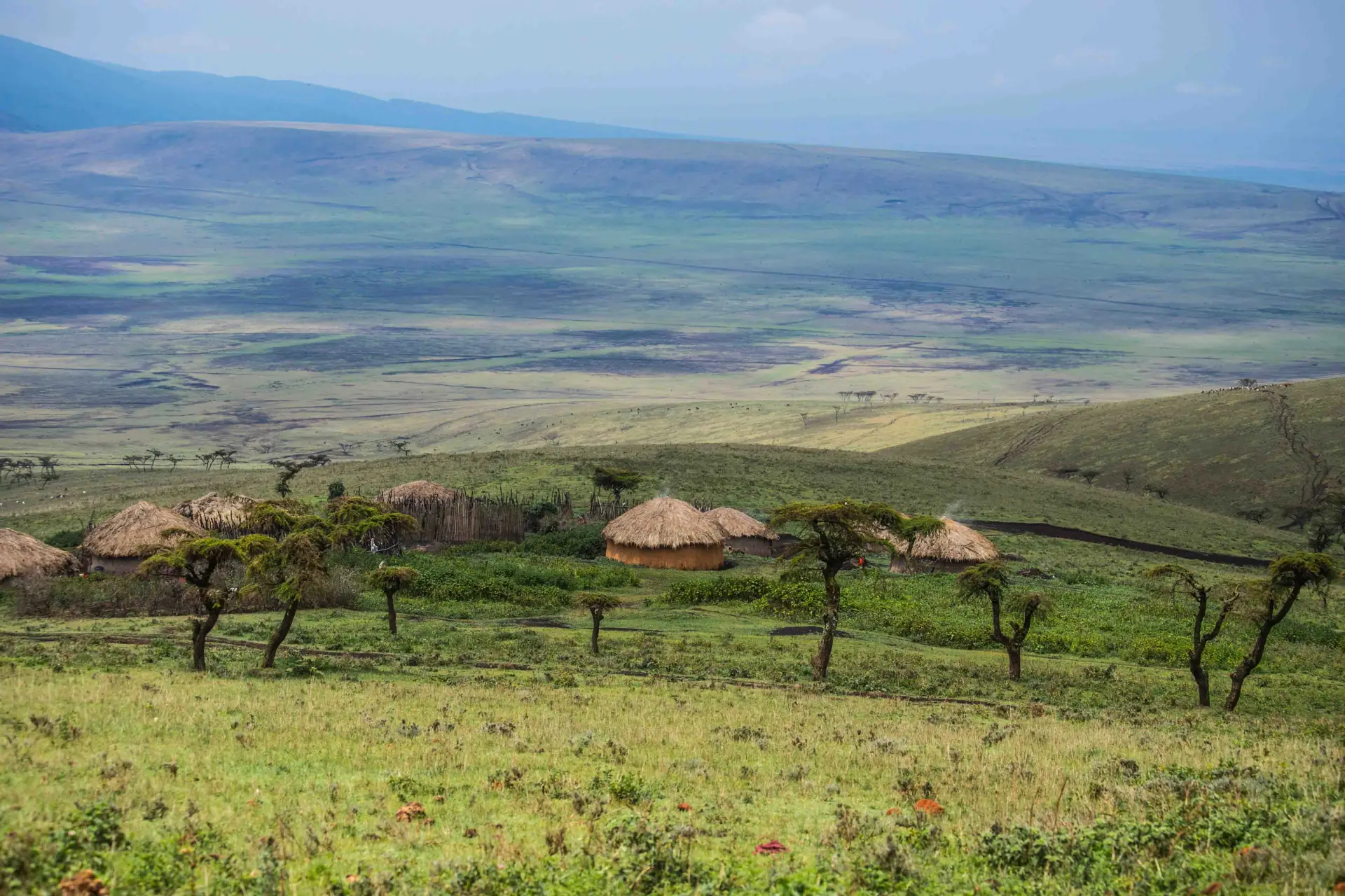 Ngorongoro