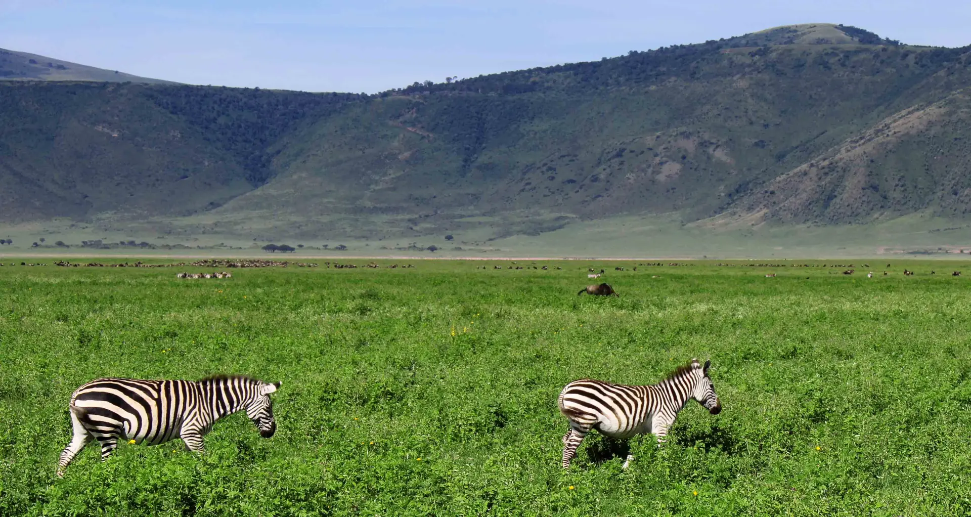 Ngorongoro Private Honeymoon