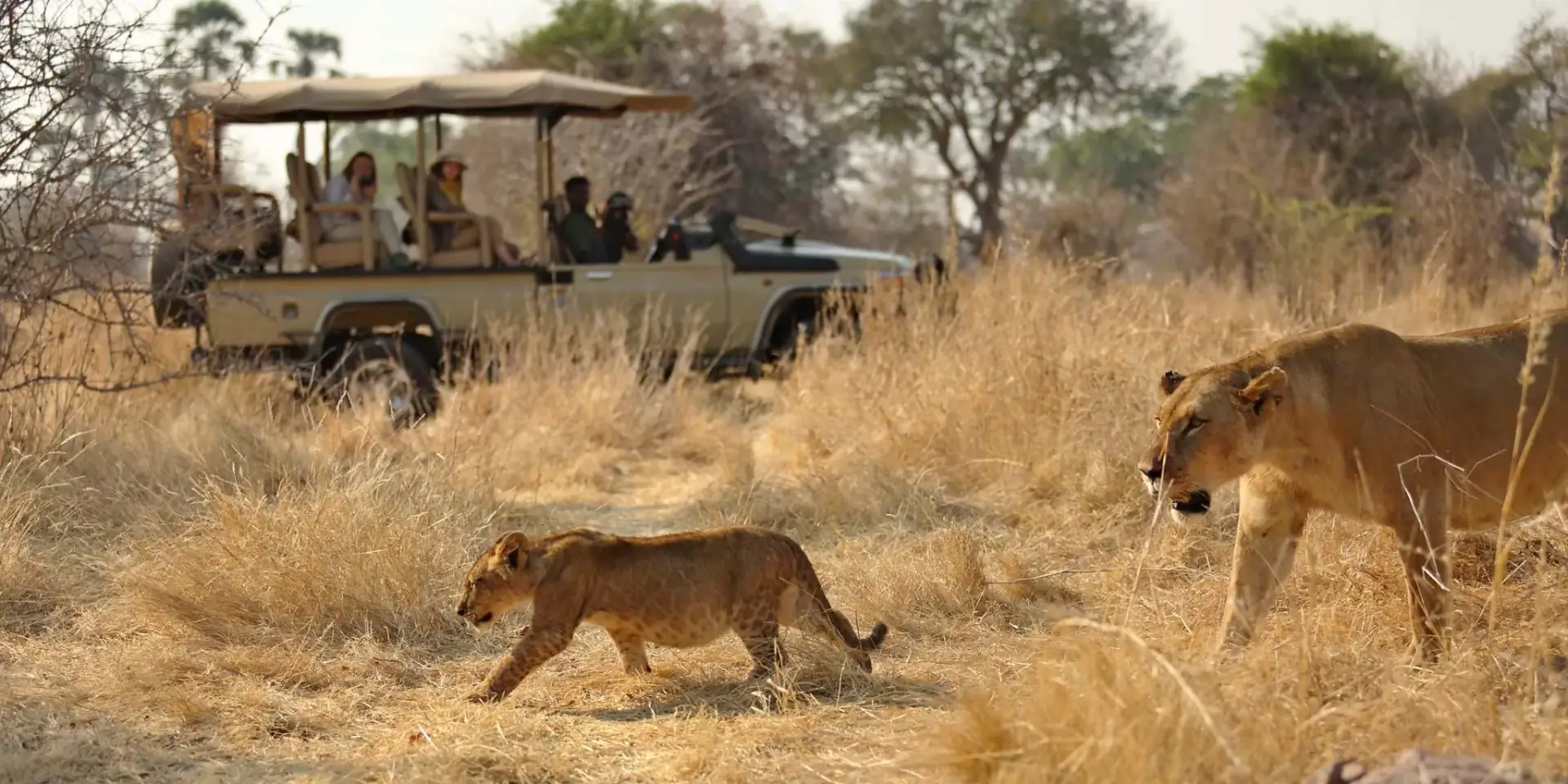 Ruaha Fly-Camping Adventure