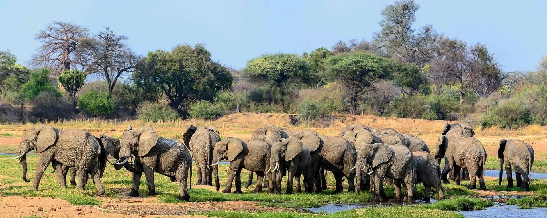 Tanzania Overland Expedition