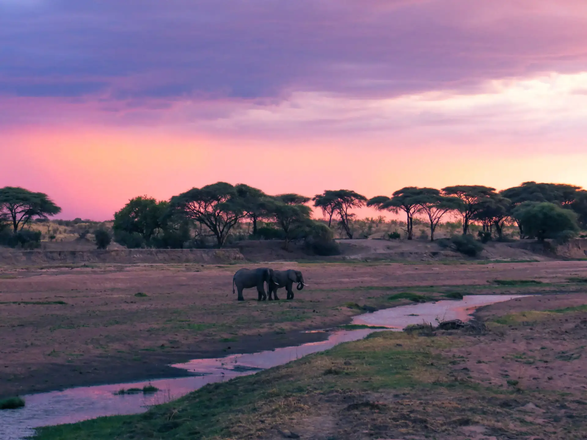 Solo Southern Wilderness