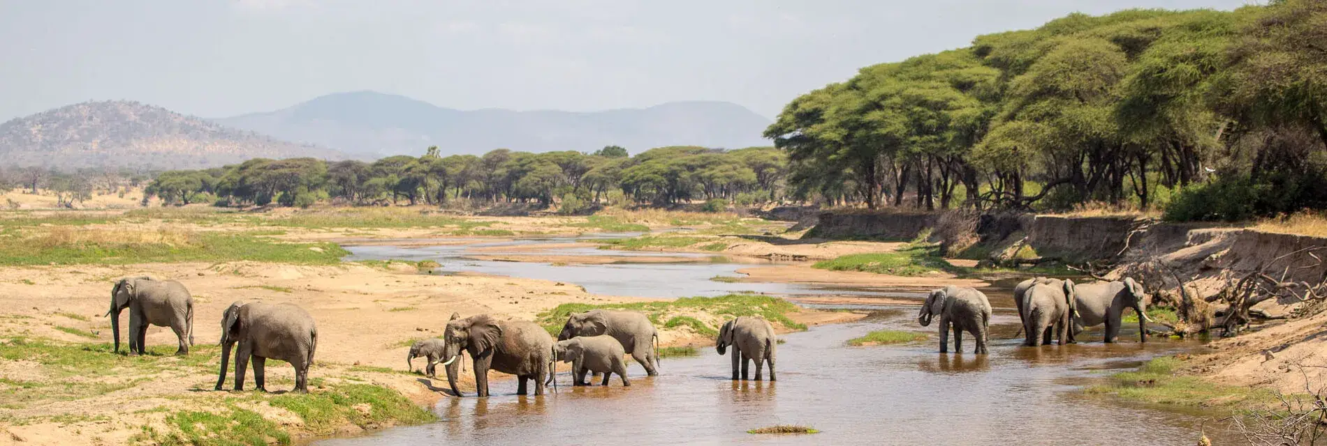 Ruaha