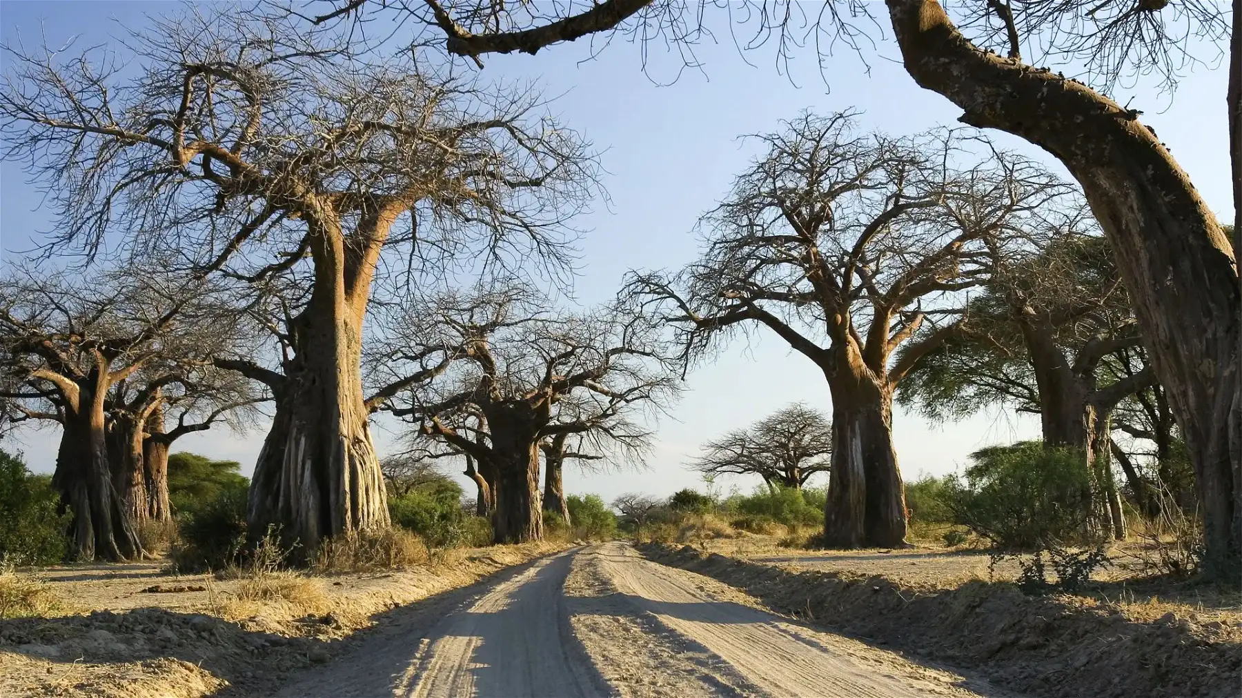 Katavi Remote Safari