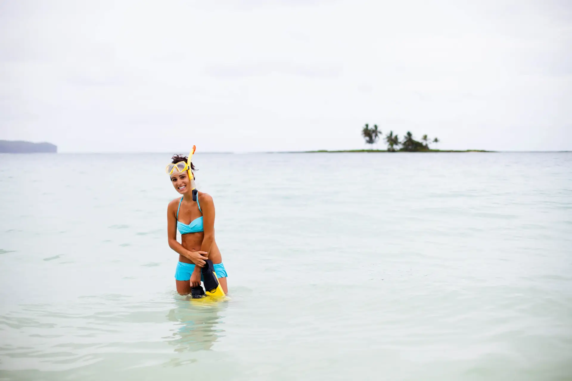 Mafia Island Whale Shark Experience
