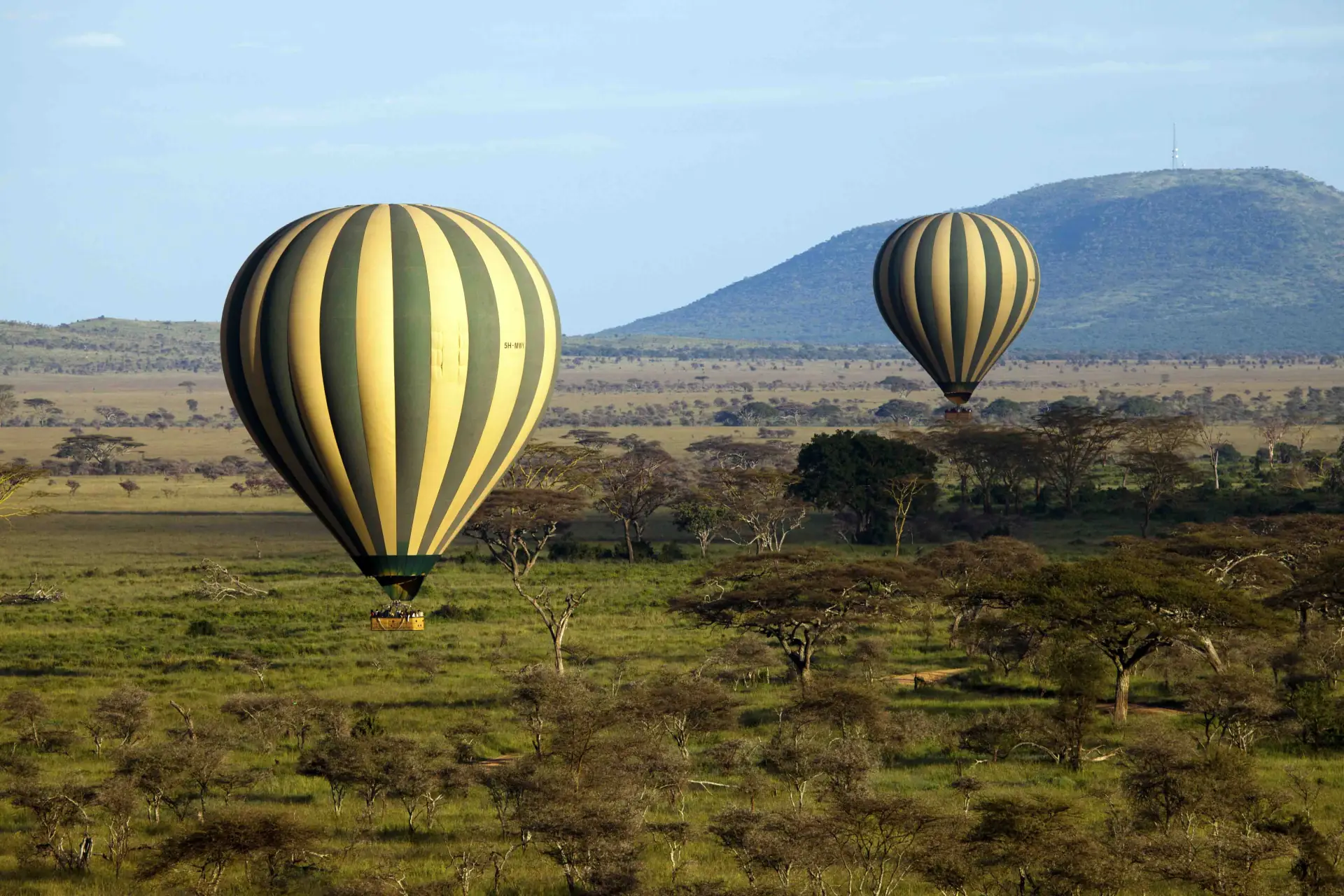 Balloon Safaris gallery 2