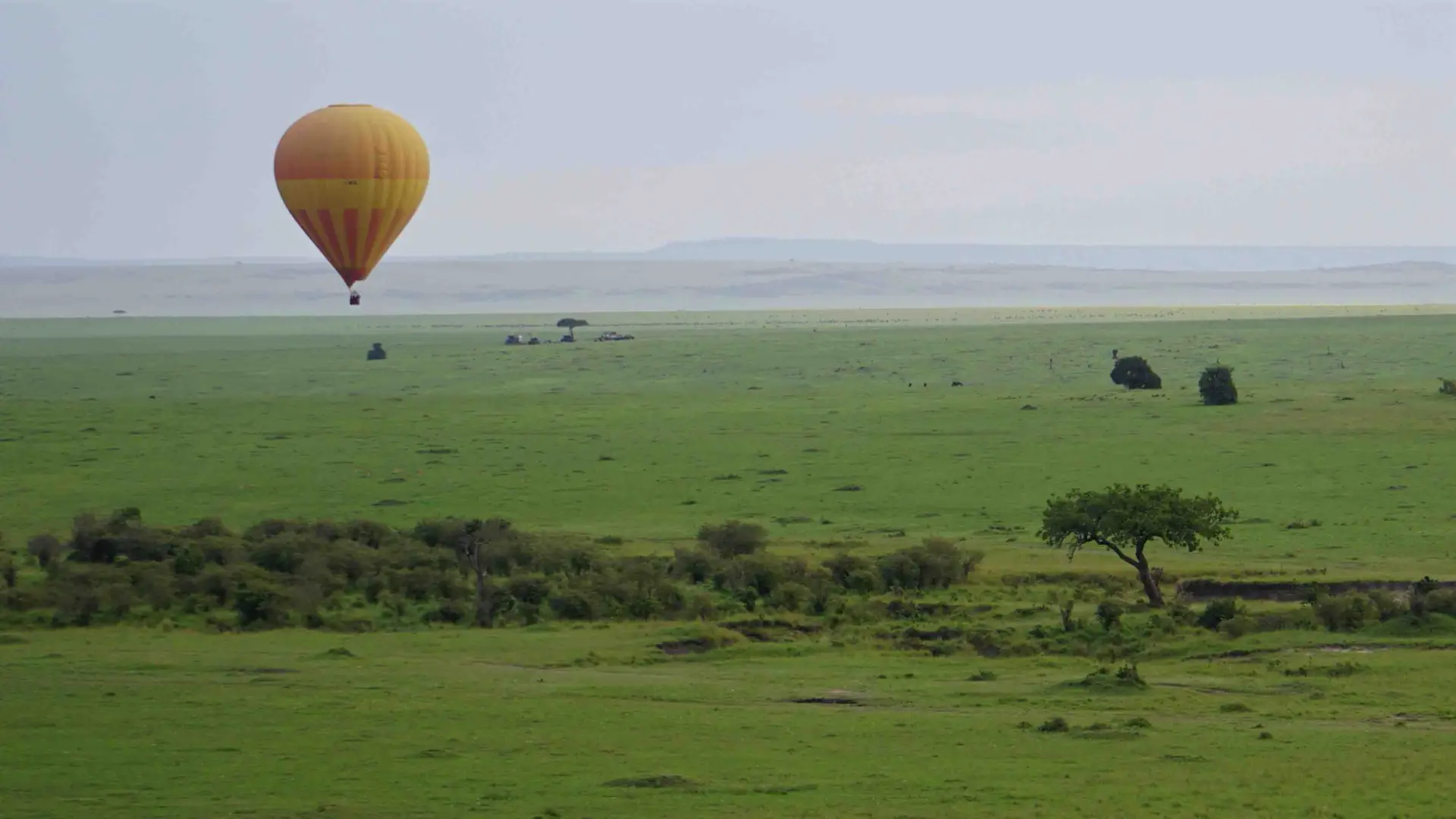 Balloon Safaris