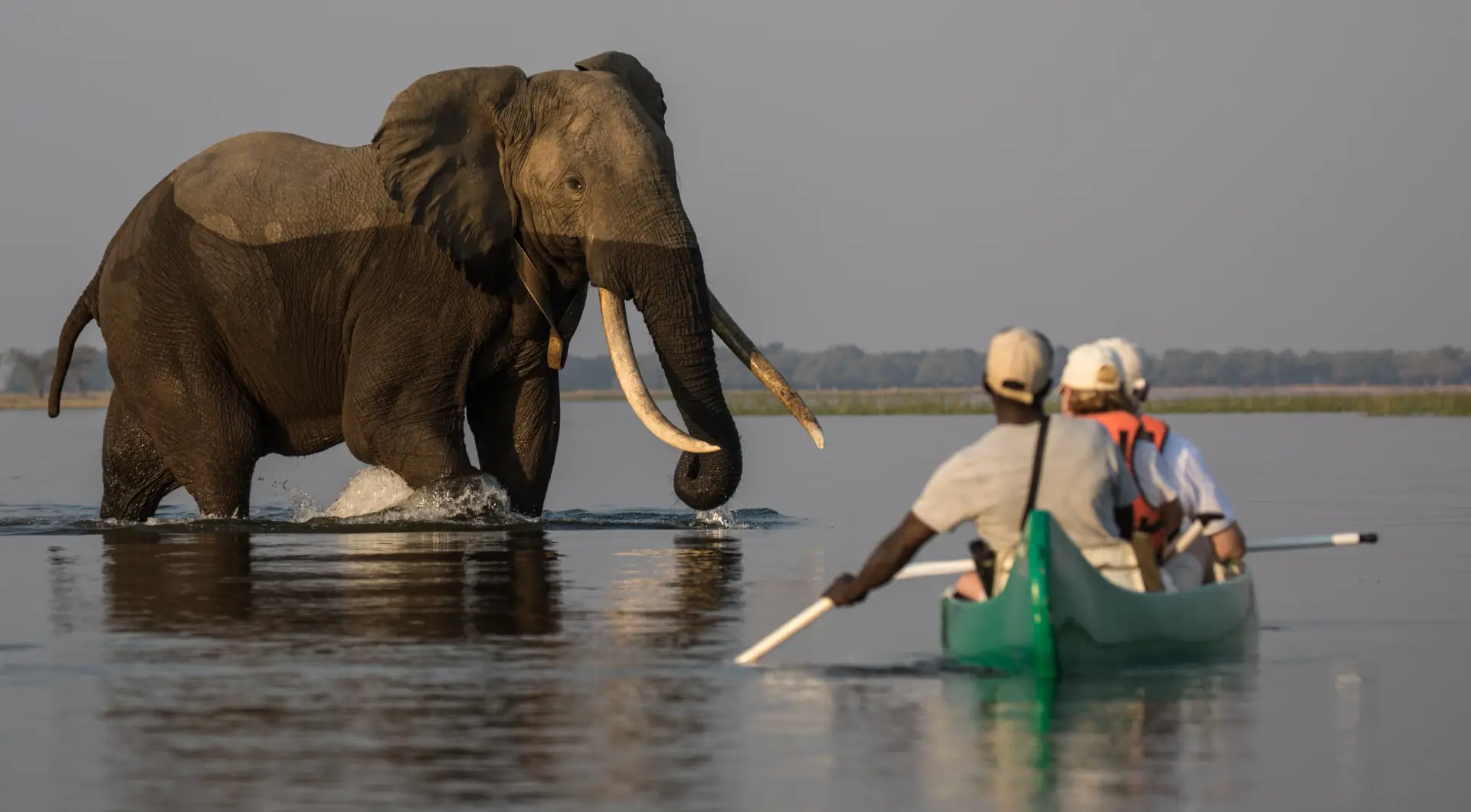 Boat Safaris gallery 2