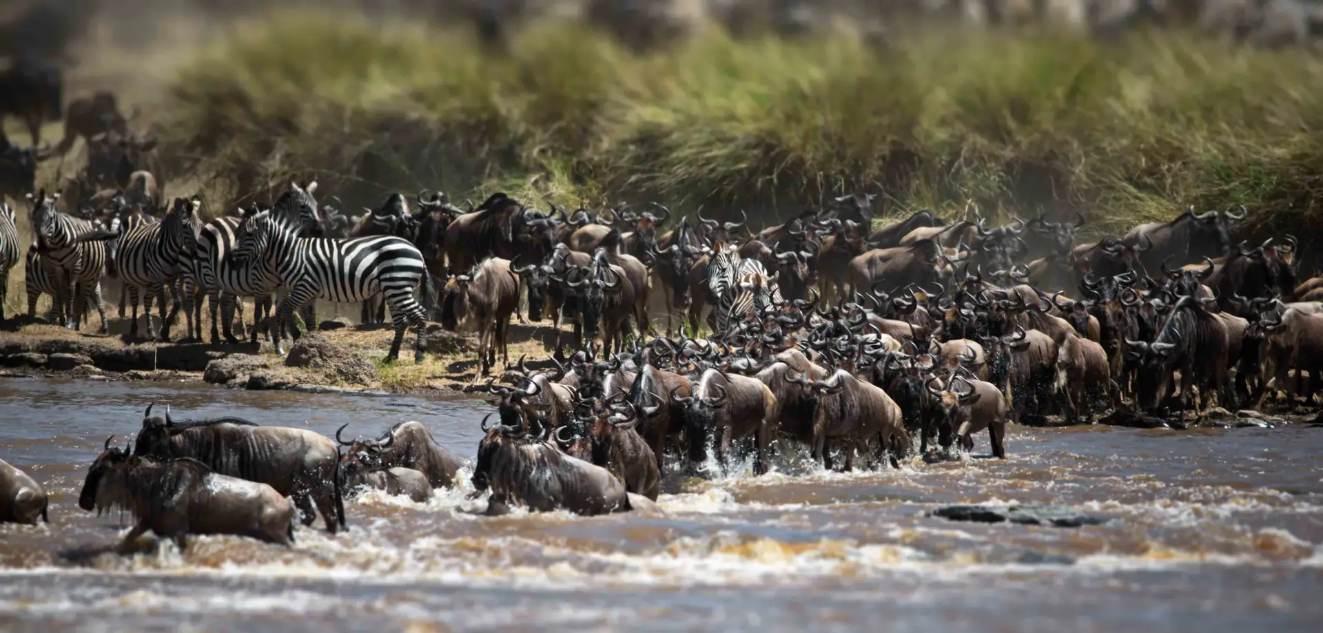 River Crossing